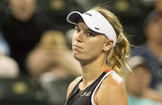 5的知名度 5的知名度